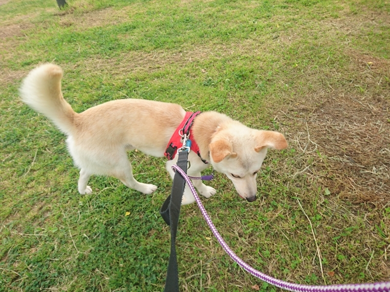 f:id:miyuki1967:20180518110618j:image:w450