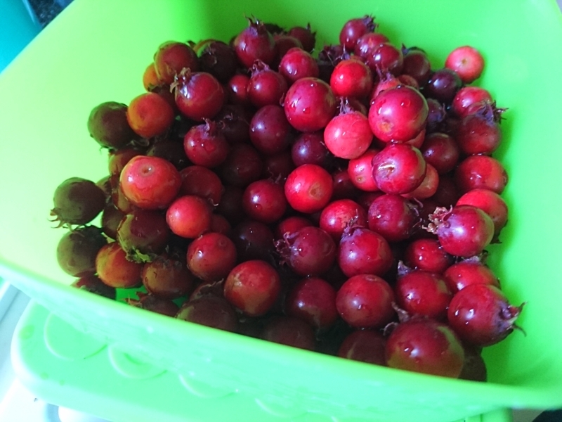 f:id:miyuki1967:20180518112917j:image:w450