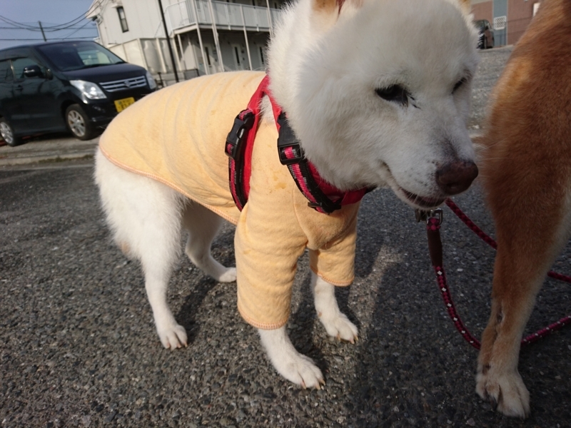 f:id:miyuki1967:20180531104310j:image:w450
