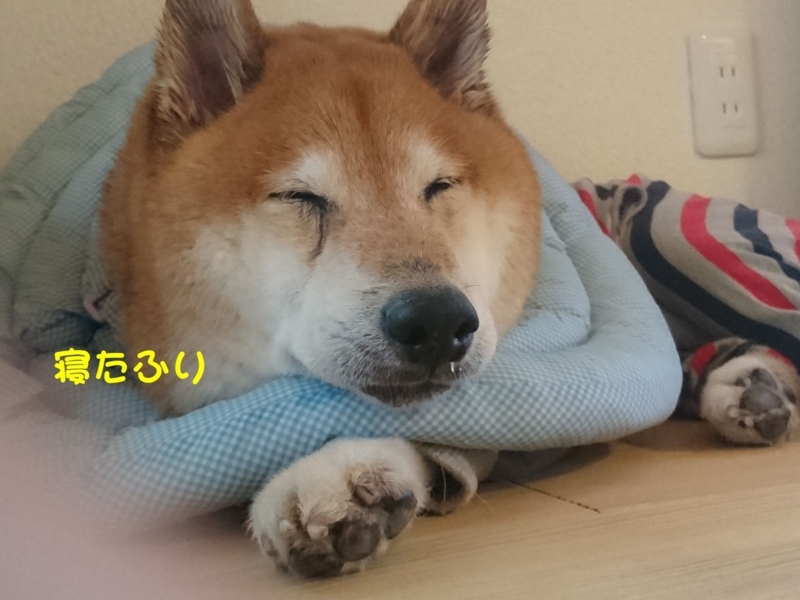 f:id:miyuki1967:20180713114425j:image:w450