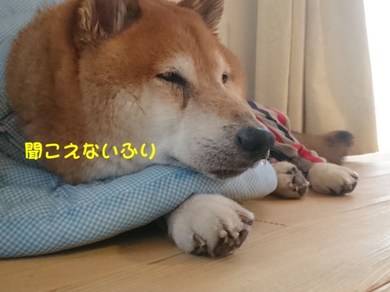 f:id:miyuki1967:20180713114429j:image:w450