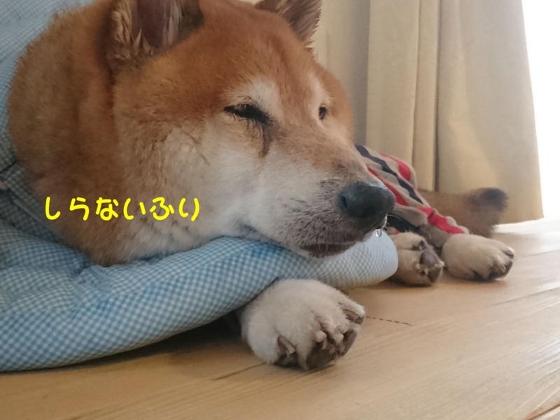 f:id:miyuki1967:20180713114433j:image:w450