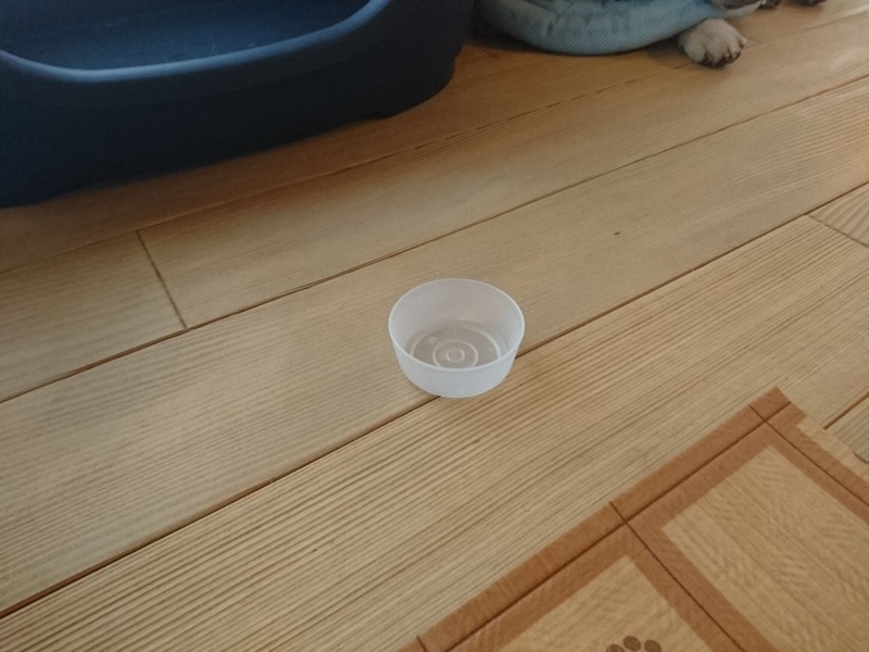 f:id:miyuki1967:20180713114438j:image:w450