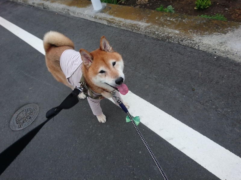 f:id:miyuki1967:20180727110943j:image:w450