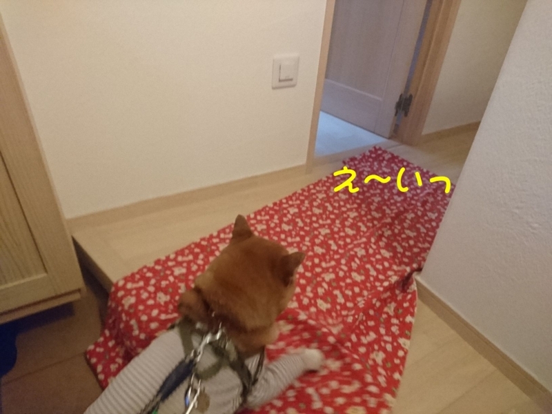 f:id:miyuki1967:20180727111535j:image:w450