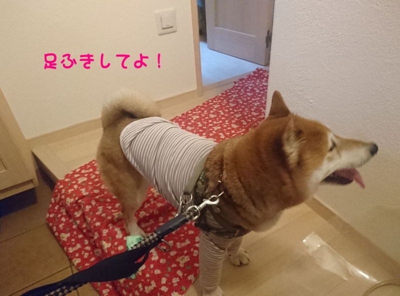 f:id:miyuki1967:20180727111539j:image:w450