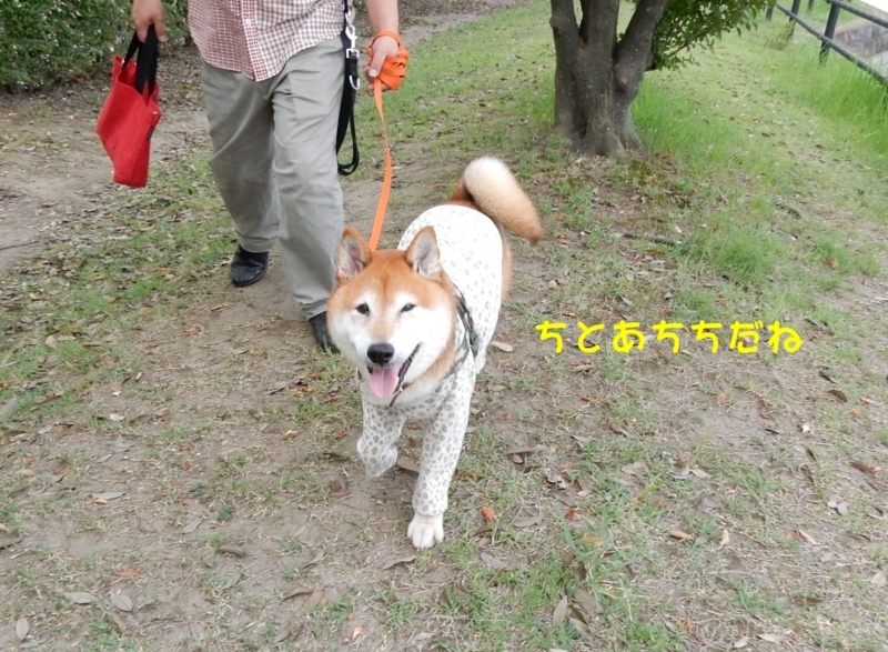 f:id:miyuki1967:20180807095247j:image:w450