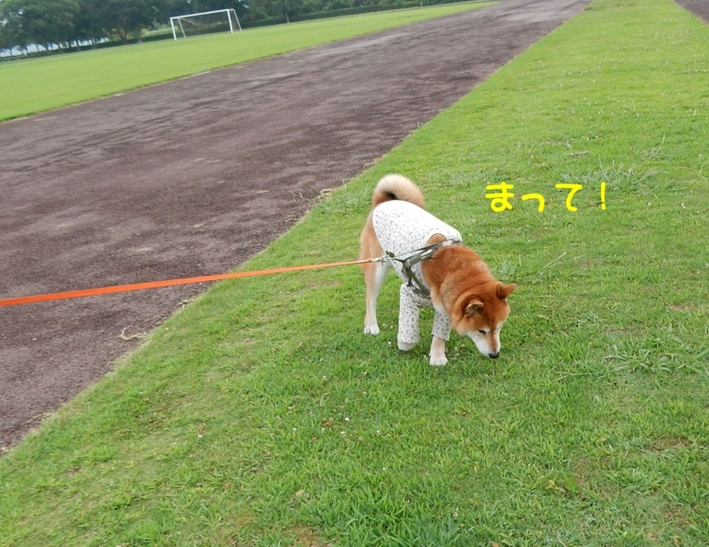 f:id:miyuki1967:20180807095308j:image:w450