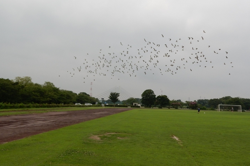 f:id:miyuki1967:20180807095318j:image:w450