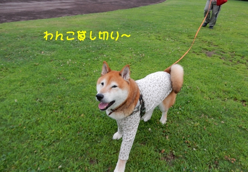 f:id:miyuki1967:20180807095329j:image:w450