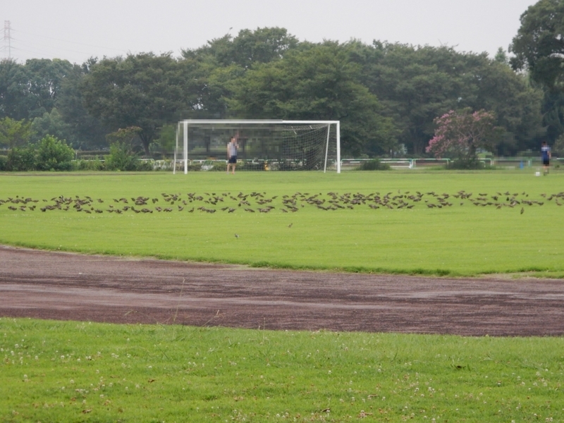 f:id:miyuki1967:20180807095336j:image:w450