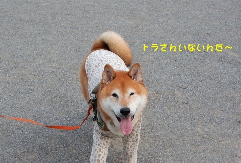 f:id:miyuki1967:20180807100358j:image:w450