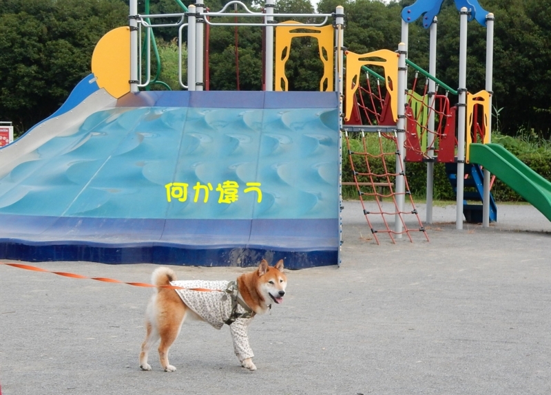 f:id:miyuki1967:20180807100404j:image:w450