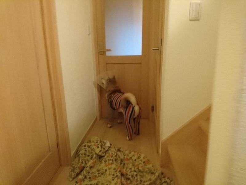 f:id:miyuki1967:20180807113703j:image:w450 f:id:miyuki1967:20180807113703j:image:w450