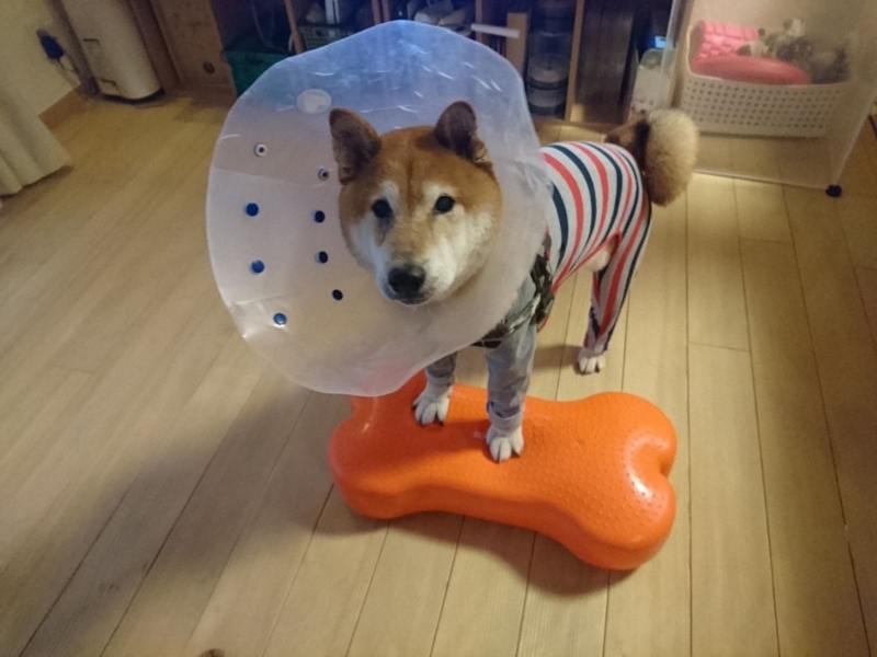 f:id:miyuki1967:20180807114103j:image:w450 f:id:miyuki1967:20180807114103j:image:w450