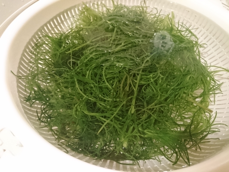 f:id:miyuki1967:20180807115159j:image:w450