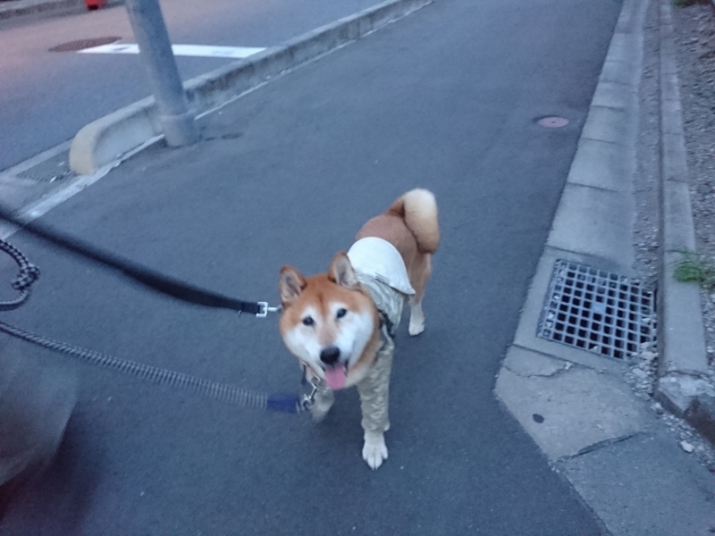 f:id:miyuki1967:20180827111542j:image:w450