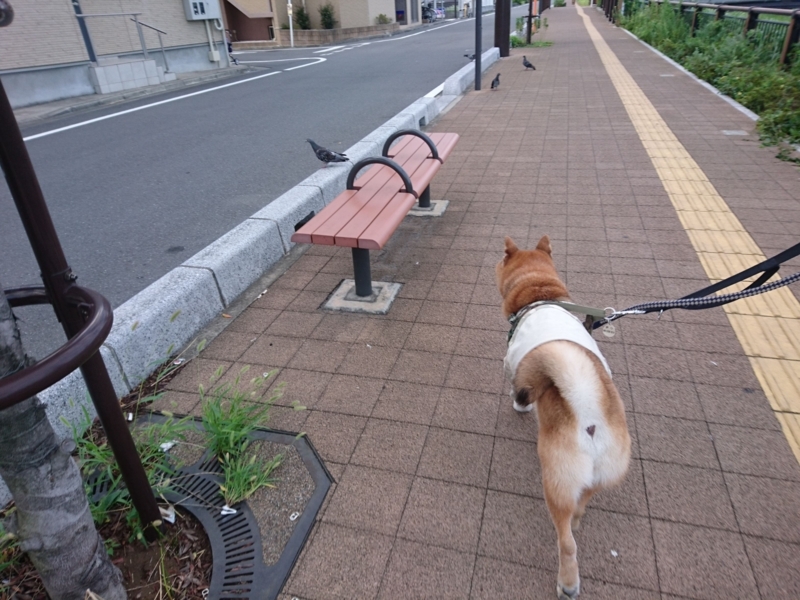 f:id:miyuki1967:20180827112715j:image:w450