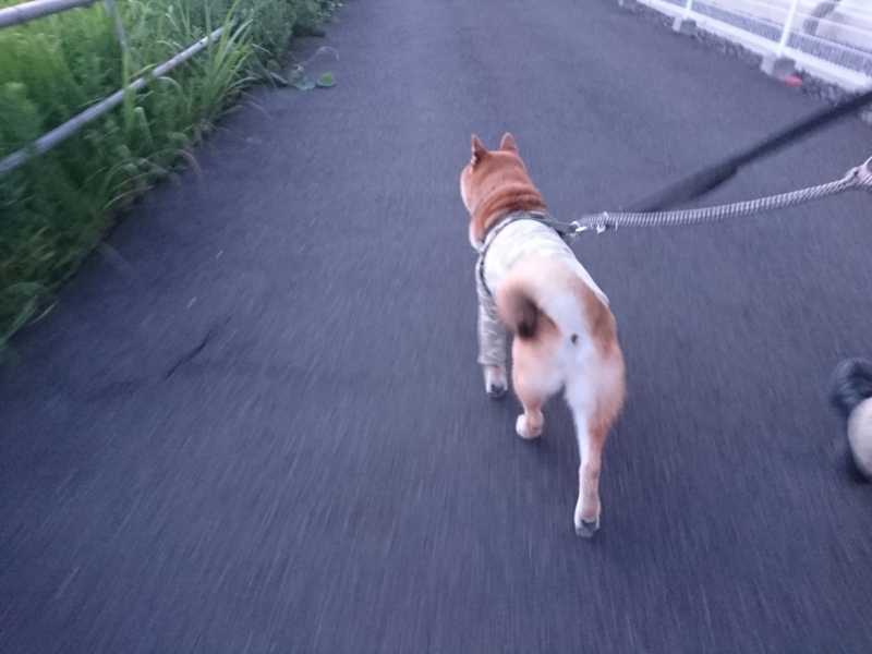 f:id:miyuki1967:20180827113343j:image:w450