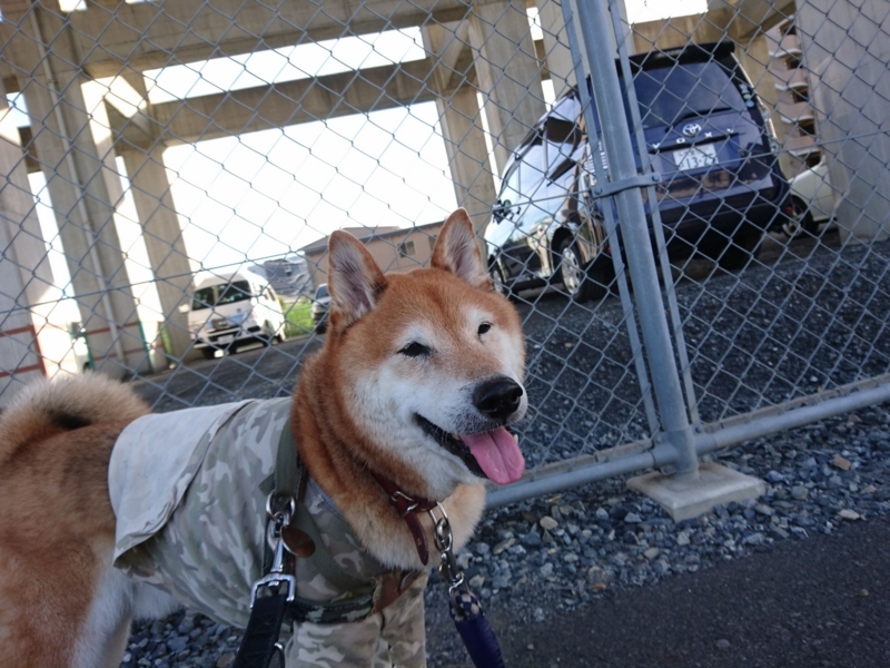 f:id:miyuki1967:20180827113517j:image:w450