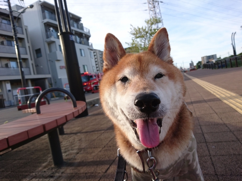 f:id:miyuki1967:20180827113531j:image:w450