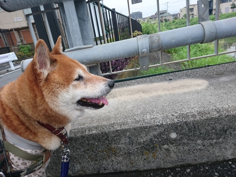 f:id:miyuki1967:20180828100807j:image:w450