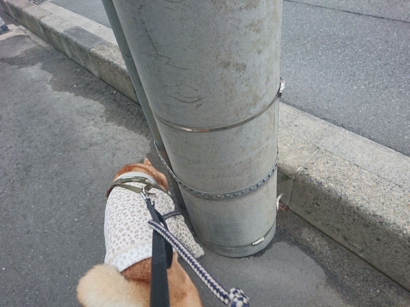 f:id:miyuki1967:20180828100908j:image:w450