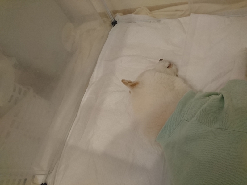 f:id:miyuki1967:20180903103733j:image:w450