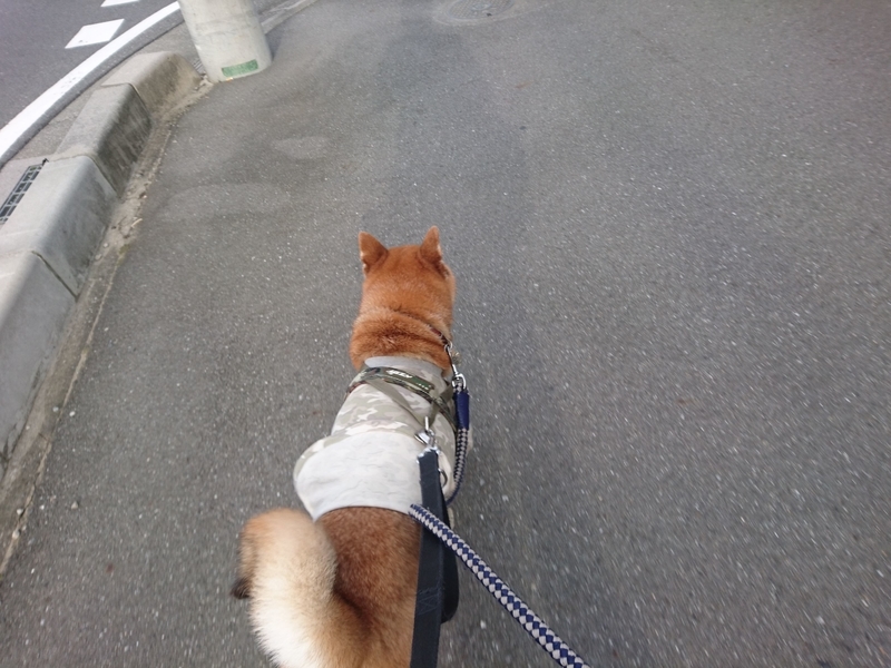 f:id:miyuki1967:20180912101700j:image:w450