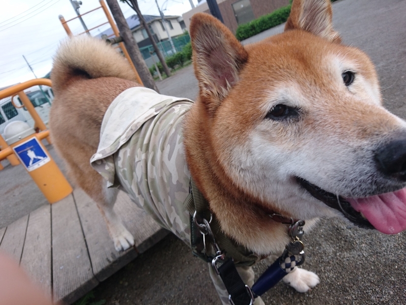 f:id:miyuki1967:20180912101705j:image:w450