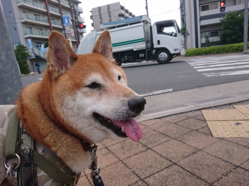 f:id:miyuki1967:20180912101714j:image:w450