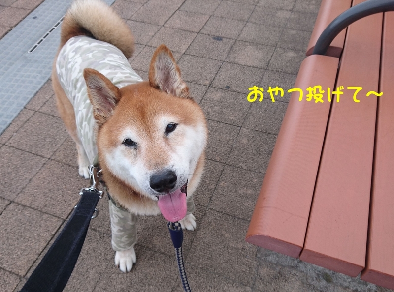 f:id:miyuki1967:20180912101719j:image:w450