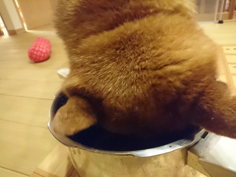 f:id:miyuki1967:20180914153809j:image:w450