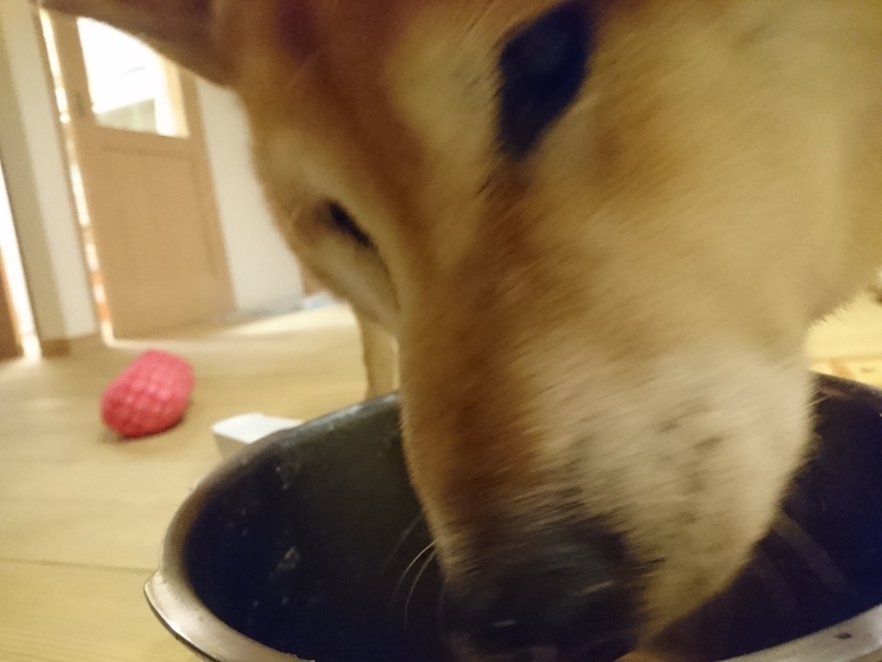 f:id:miyuki1967:20180914153815j:image:w450