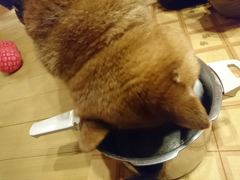 f:id:miyuki1967:20180914153820j:image:w450