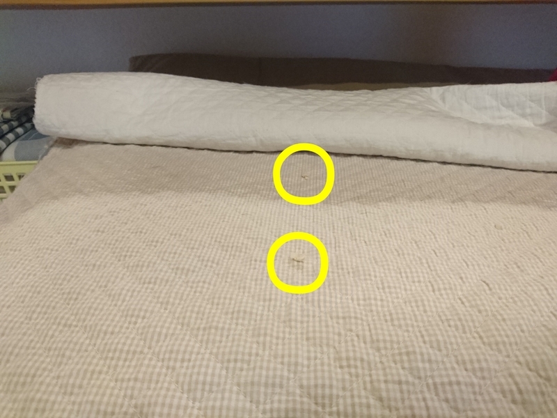 f:id:miyuki1967:20180926102212j:image:w450