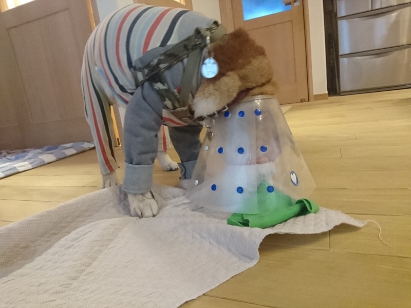 f:id:miyuki1967:20180926104956j:image:w450