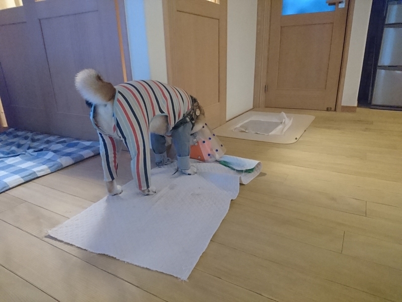 f:id:miyuki1967:20180926105017j:image:w450