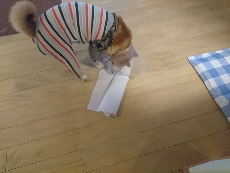 f:id:miyuki1967:20180926105038j:image:w450