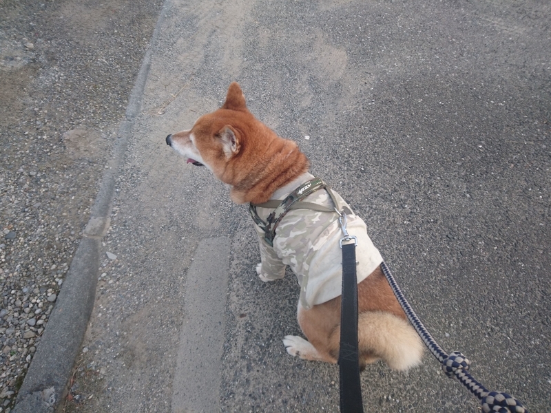 f:id:miyuki1967:20181012112418j:image:w450 f:id:miyuki1967:20181012112418j:image:w450