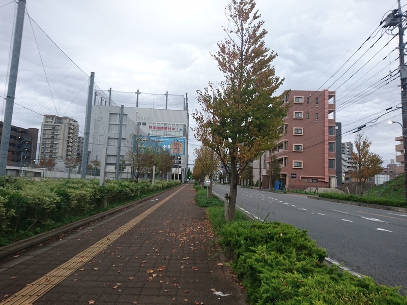 f:id:miyuki1967:20181012112505j:image:w450 f:id:miyuki1967:20181012112505j:image:w450