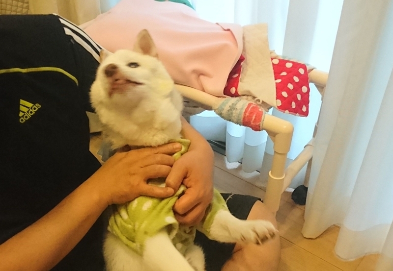 f:id:miyuki1967:20181012115128j:image:w450