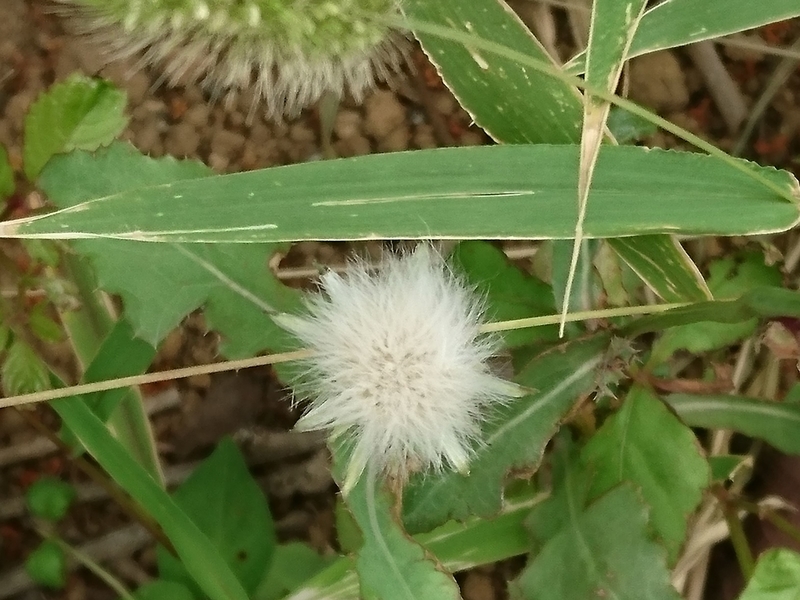 f:id:miyuki1967:20181015103417j:image:w450 f:id:miyuki1967:20181015103417j:image:w450