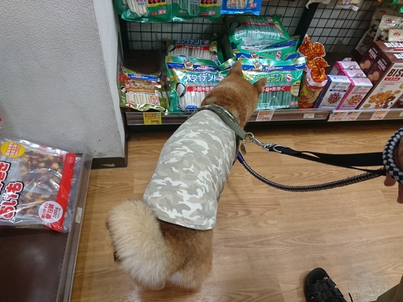 f:id:miyuki1967:20181015103433j:image:w450 f:id:miyuki1967:20181015103433j:image:w450