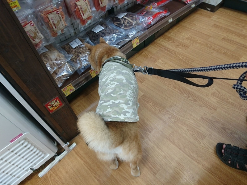 f:id:miyuki1967:20181015103438j:image:w450 f:id:miyuki1967:20181015103438j:image:w450