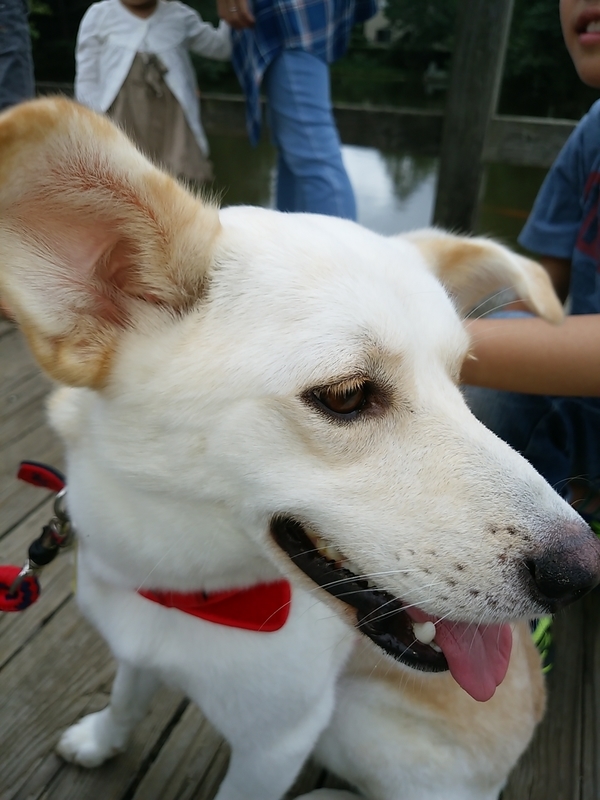 f:id:miyuki1967:20181017114800j:image:w450