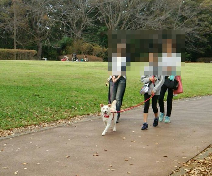 f:id:miyuki1967:20181017114806j:image:w450