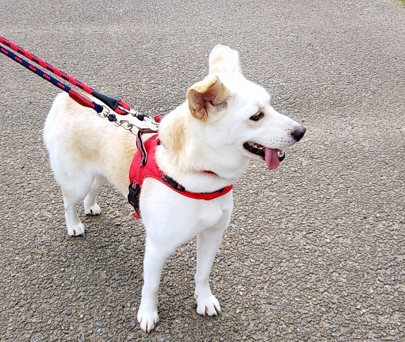 f:id:miyuki1967:20181017114808j:image:w450