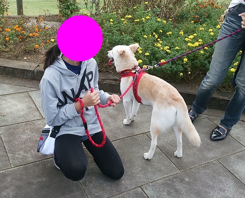 f:id:miyuki1967:20181017114810j:image:w450