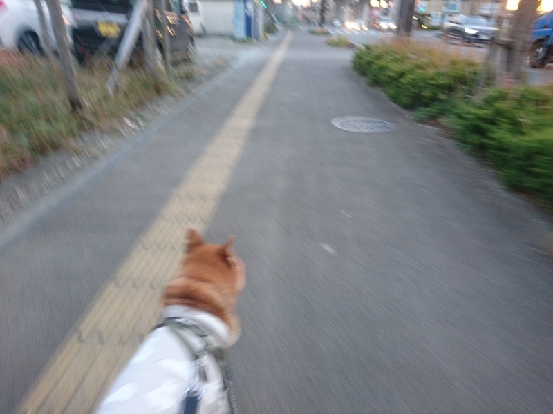 f:id:miyuki1967:20181226124239j:image:w450